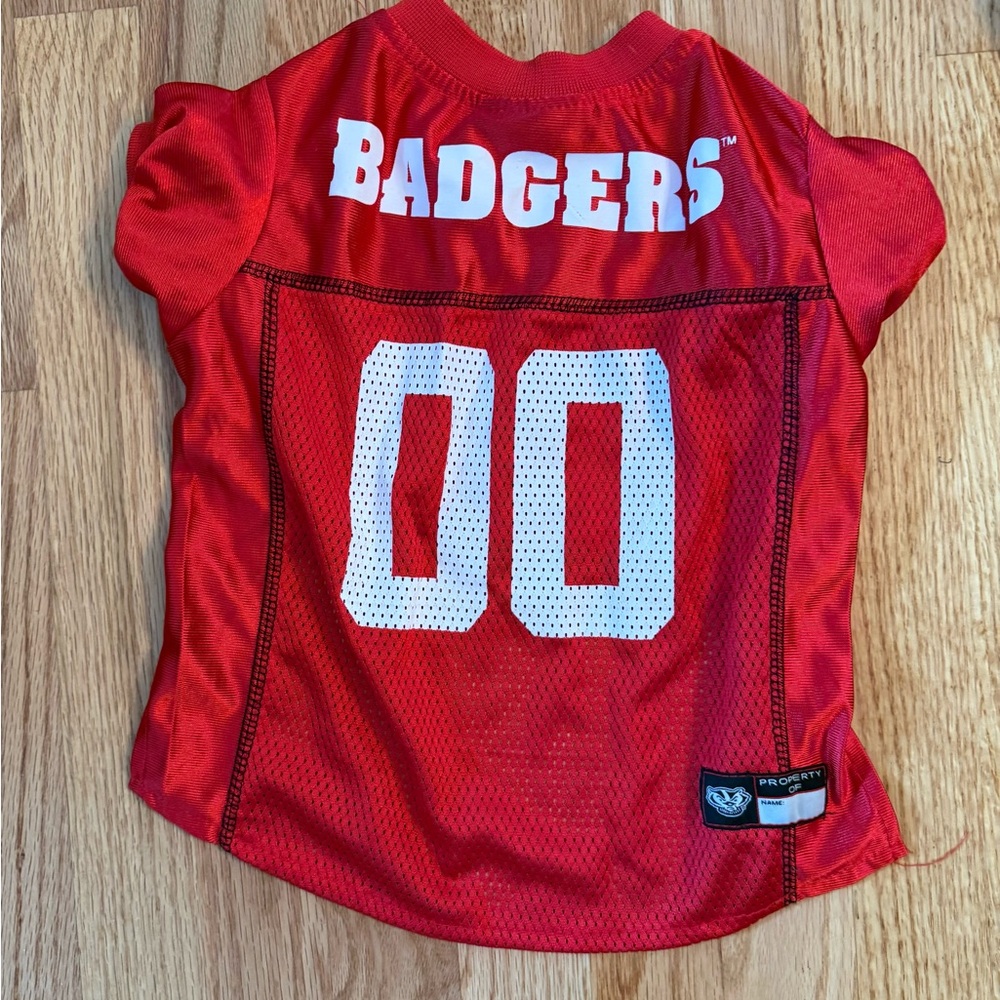 Wisconsin Badger Pet Jerseys And Bandanas Lot College University Badgers Dog - Picture 3 of 13